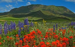 Sheraton Steamboat 1 Bedroom Luxury Villa - Steamboat Springs, Colorado
