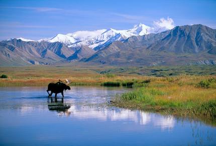 CURATED FAMILY BONDINGS - The Last Frontier, Alaska