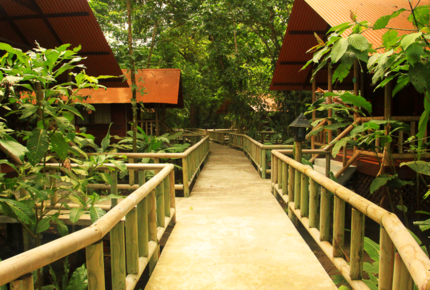 CURATED FAMILY BONDINGS - Rainforest & Beach Adventure, Costa Rica