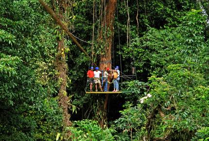 CURATED FAMILY BONDINGS - Rainforest & Beach Adventure, Costa Rica