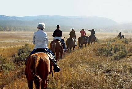 CURATED GLAMPING THE NIGHT AWAY - Montana Moonlight Tented Safari, Montana
