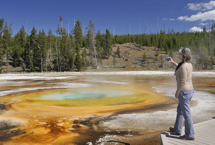 CURATED AMERICA THE BEAUTIFUL - Hidden Yellowstone Nature Safari, Wyoming