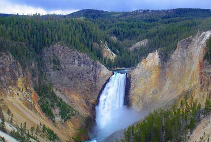 CURATED AMERICA THE BEAUTIFUL - Hidden Yellowstone Nature Safari, Wyoming