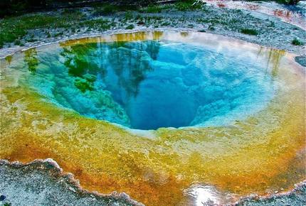 CURATED AMERICA THE BEAUTIFUL - Hidden Yellowstone Nature Safari, Wyoming