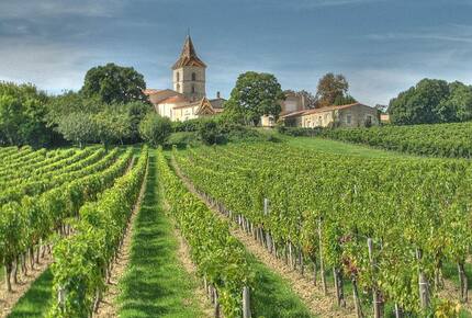 CURATED WINE ROUTES - Sipping the Bordeaux & Dordogne, France