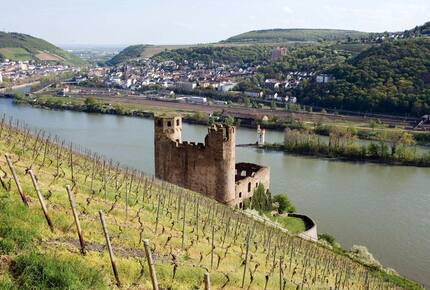 CURATED WINE ROUTES - Rudesheim & The Mosel Valley, Germany