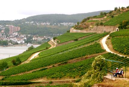 CURATED WINE ROUTES - Rudesheim & The Mosel Valley, Germany