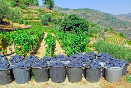 CURATED SIGNATURE JOURNEYS - Beloved Portuguese Discovery, Portugal
