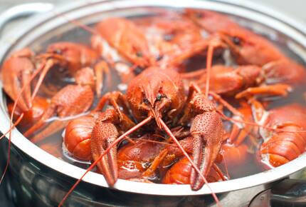 CURATED SOUTHERN SOJOURNS - The Best of the Big Easy, New Orleans