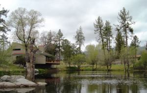 Writer's Mountain Retreat - Idyllwild-PineCove, California