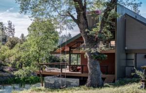 Writer's Mountain Retreat - Idyllwild-PineCove, California