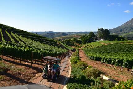 CURATED CULINARY SERIES - Savouring The Cape, South Africa