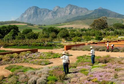 CURATED CULINARY SERIES - Savouring The Cape, South Africa