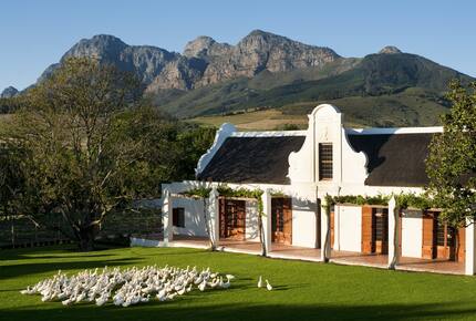 CURATED CULINARY SERIES - Savouring The Cape, South Africa