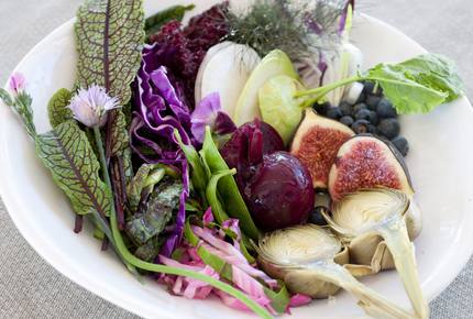 CURATED CULINARY SERIES - Savouring The Cape, South Africa
