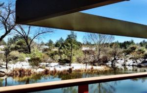 Writer's Mountain Retreat - Idyllwild-PineCove, California