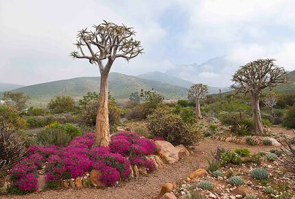 CURATED ROMANCING THE RAILS - SAFARI BY RIVER & RAIL, South Africa