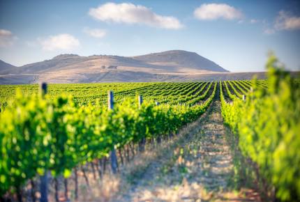 CURATED ROMANCING THE RAILS - SAFARI BY RIVER & RAIL, South Africa