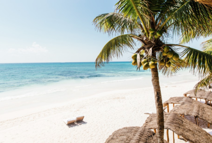 CURATED LUXE-INCLUSIVE RETREATS - Escape to Esencia, Mexico