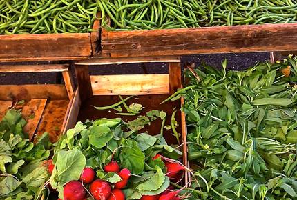 CURATED CULINARY SERIES - Slow Food of Puglia, Italy