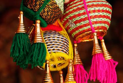 CURATED EXOTIC ESCAPES - Temples, Palaces & Bengal Tigers, India