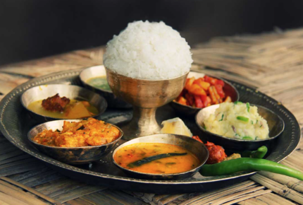 CURATED EXOTIC ESCAPES - Temples, Palaces & Bengal Tigers, India