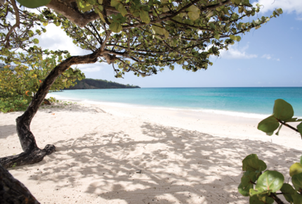 CURATED LUXE-INCLUSIVE RETREATS - The Spice of The Islands, Grenada