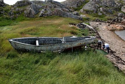 CURATED ECO EXPLORINGS - Fogo Island Berry Wild Time, Canada