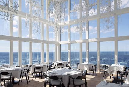 CURATED ECO EXPLORINGS - Fogo Island Berry Wild Time, Canada
