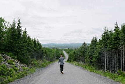 CURATED ECO EXPLORINGS - Fogo Island Berry Wild Time, Canada