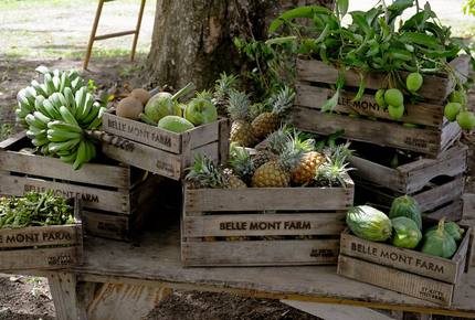 CURATED CULINARY SERIES - Belle Mont Island Farm-to-Table, Saint Kitts and Nevis