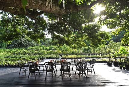 CURATED CULINARY SERIES - Belle Mont Island Farm-to-Table, Saint Kitts and Nevis