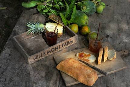 CURATED CULINARY SERIES - Belle Mont Island Farm-to-Table, Saint Kitts and Nevis