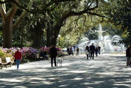 CURATED SOUTHERN SOJOURNS - A Coastal South Adventure, Charleston to Savannah