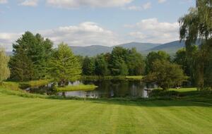 One Hundred Acre Wood - Stowe, Vermont