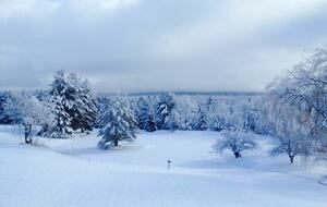 One Hundred Acre Wood - Stowe, Vermont