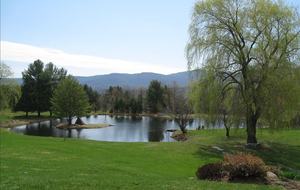 One Hundred Acre Wood - Stowe, Vermont
