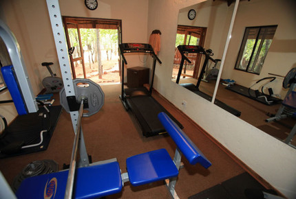 Tsheshepe Game Lodge - Vaalwater, South Africa