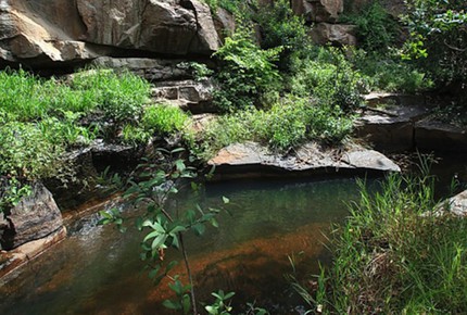 Tsheshepe Game Lodge