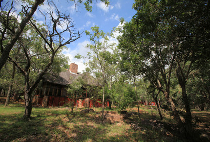 Tsheshepe Game Lodge - Vaalwater, South Africa