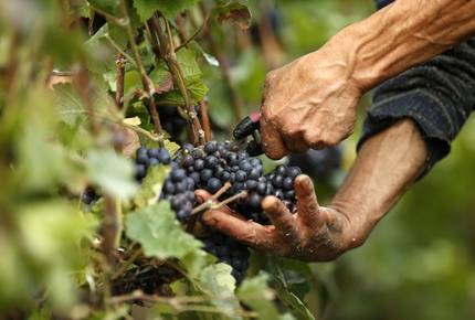 CURATED WINE ROUTES