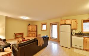 Basement - living area, large TV not pictured