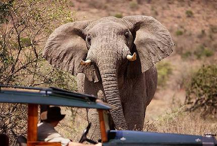CURATED GLAMPING THE NIGHT AWAY - Happily Ever After Safari, Kenya