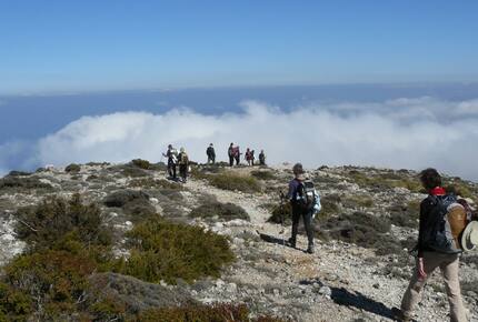 CURATED ACTIVE TRAILS - Coastal Island Walks of Mallorca, Spain