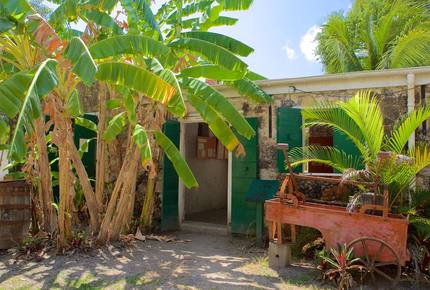 EXCLUSIVE STAY EXPERIENCE - Crucian Christmas Celebration, Virgin Islands, U.S.