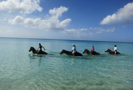 EXCLUSIVE STAY EXPERIENCE - Crucian Christmas Celebration, Virgin Islands, U.S.