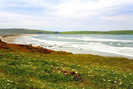 Dillon Beach Dream - Dillon Beach, California