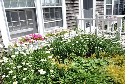 Honeysuckle Cottage Property - 4 Bedrooms plus 2 Lofts - Just Blocks to Center of Town! - Nantucket, Massachusetts