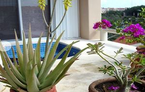 Ocean Front Penthouse - Puerto Aventuras, Mexico