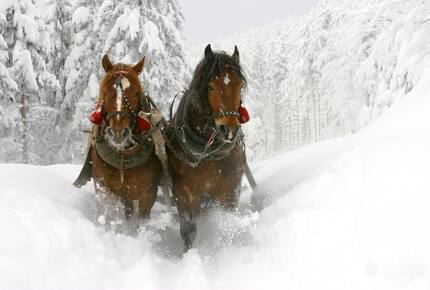 EXCLUSIVE STAY SKI EXPERIENCE
